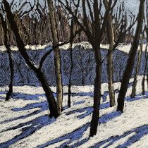 Lasek Bielański zimą, tłusty pastel, 35 x 50 cm, 2021